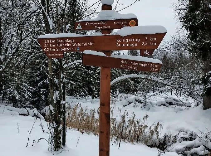 Daire Walpurgis Hexe *