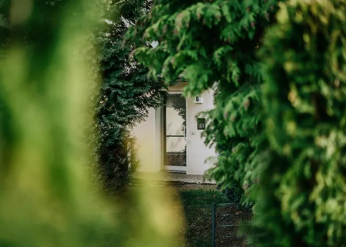 Daire Walpurgis Hexe *