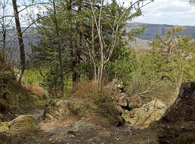 Daire Walpurgis Hexe *