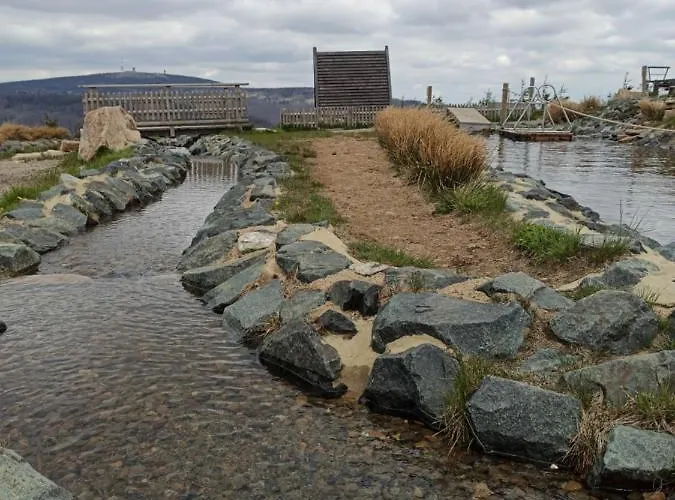 Daire Walpurgis Hexe *